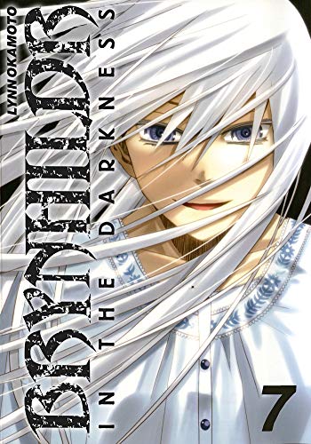 jaquette album Brynhildr in the darkness - Tome 7