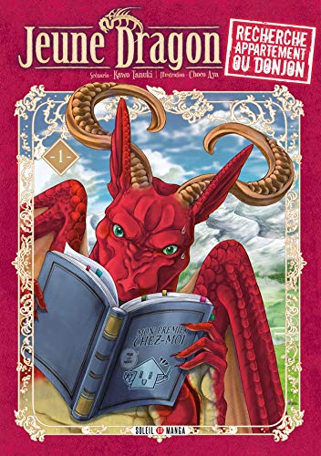 jaquette album Jeune dragon recherche appartement ou donjon - Tome 1