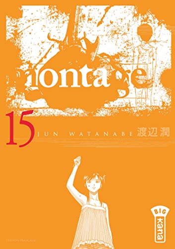 jaquette album Montage - Tome 15