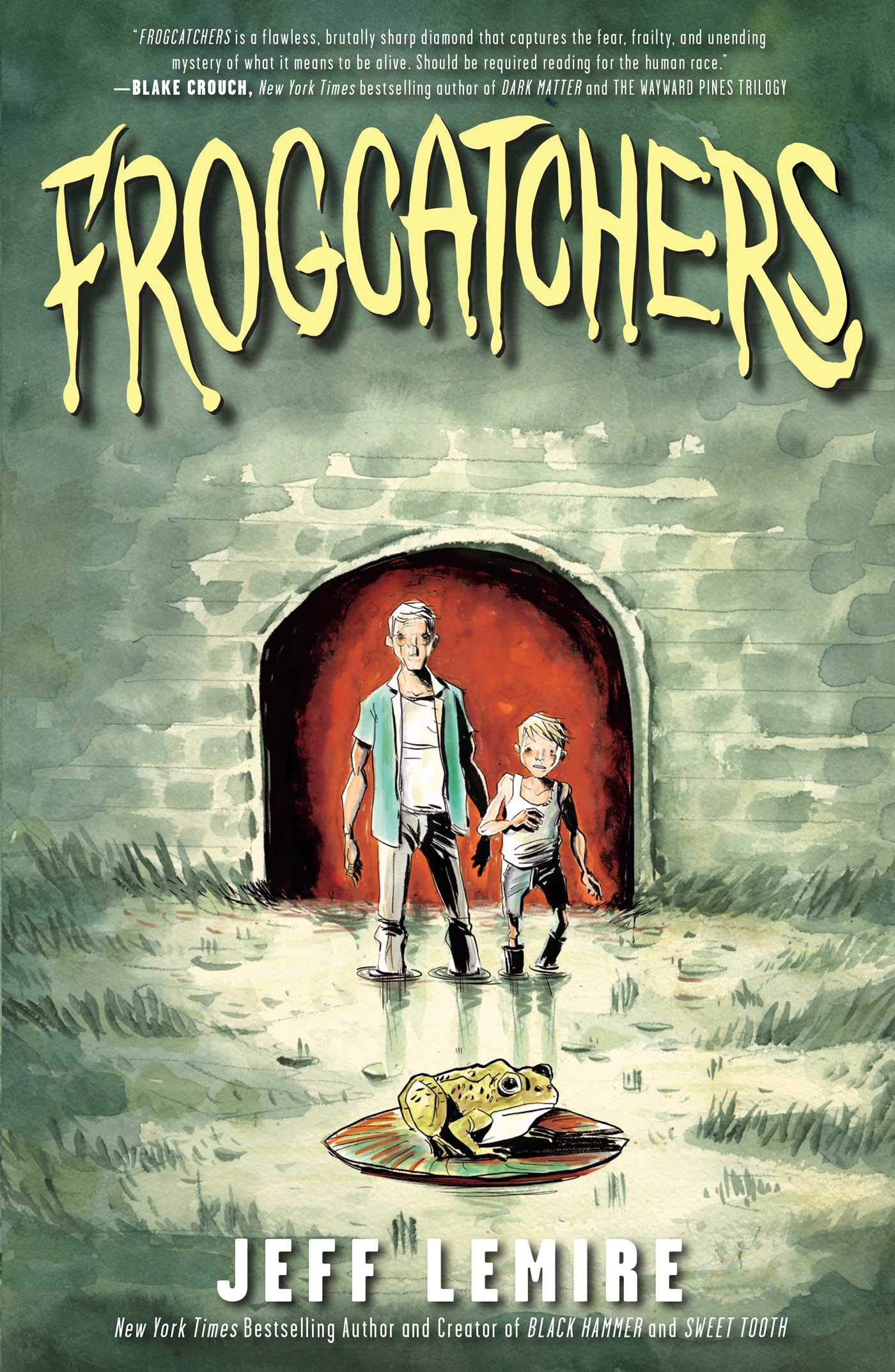 jaquette album Frogcatchers