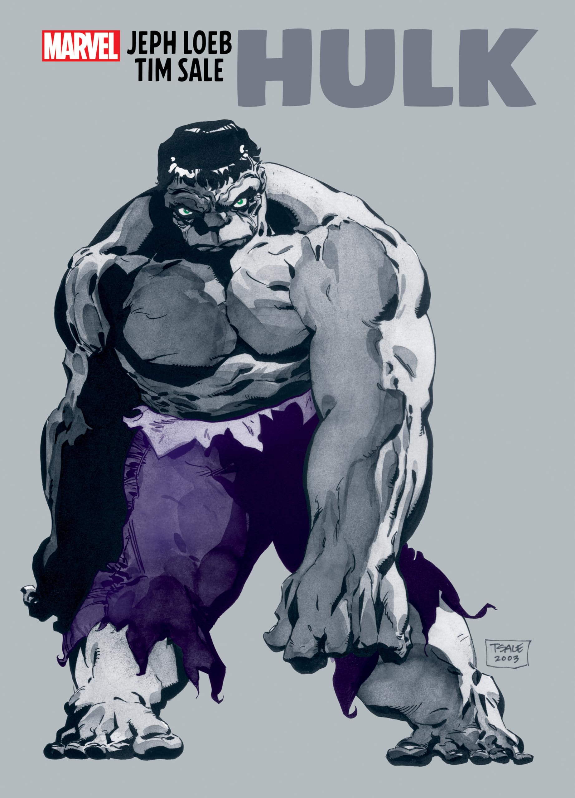 jaquette album JEPH LOEB & TIM SALE: HULK GALLERY EDITION