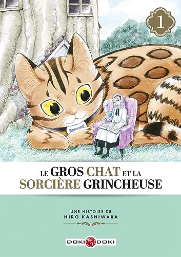 jaquette album Gros Chat et la Sorcière grincheuse (le) - Tome 1