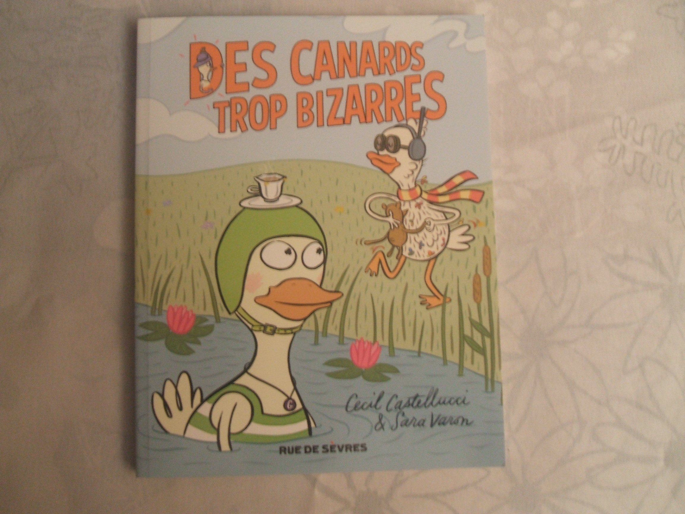 jaquette album DES CANARDS TROP BIZARRES