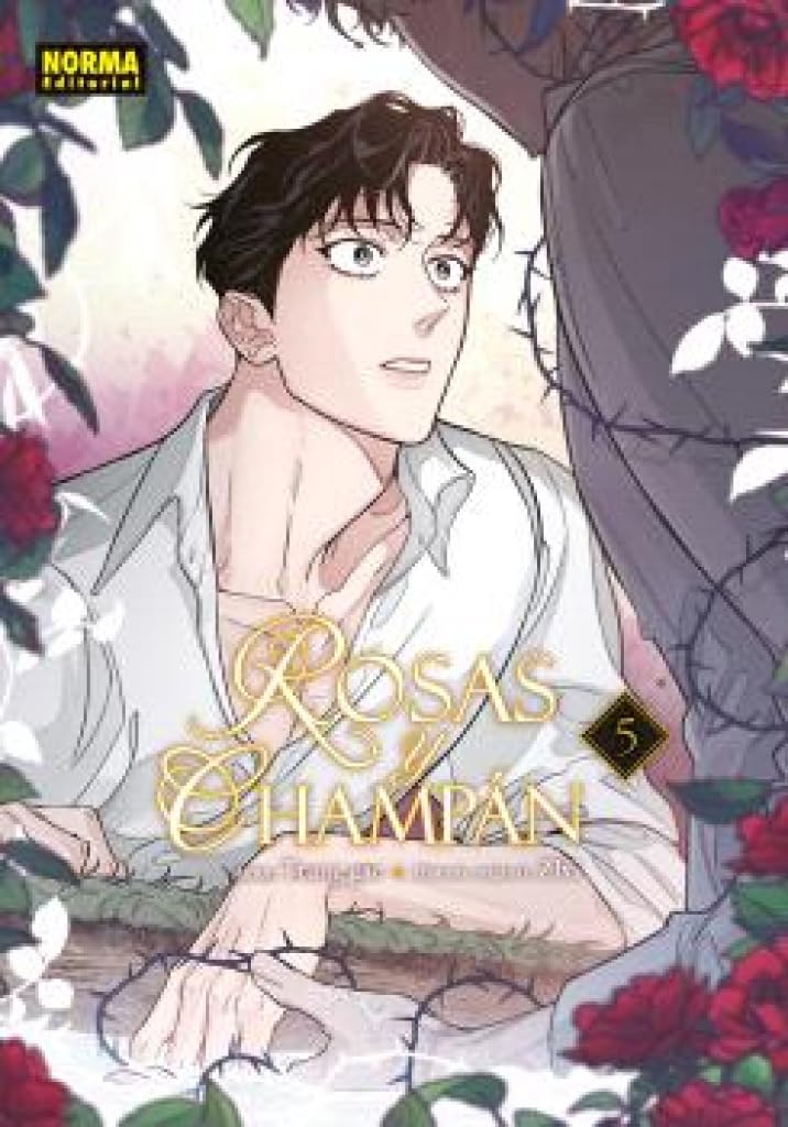 jaquette livre ROSAS Y CHAMPAN 05