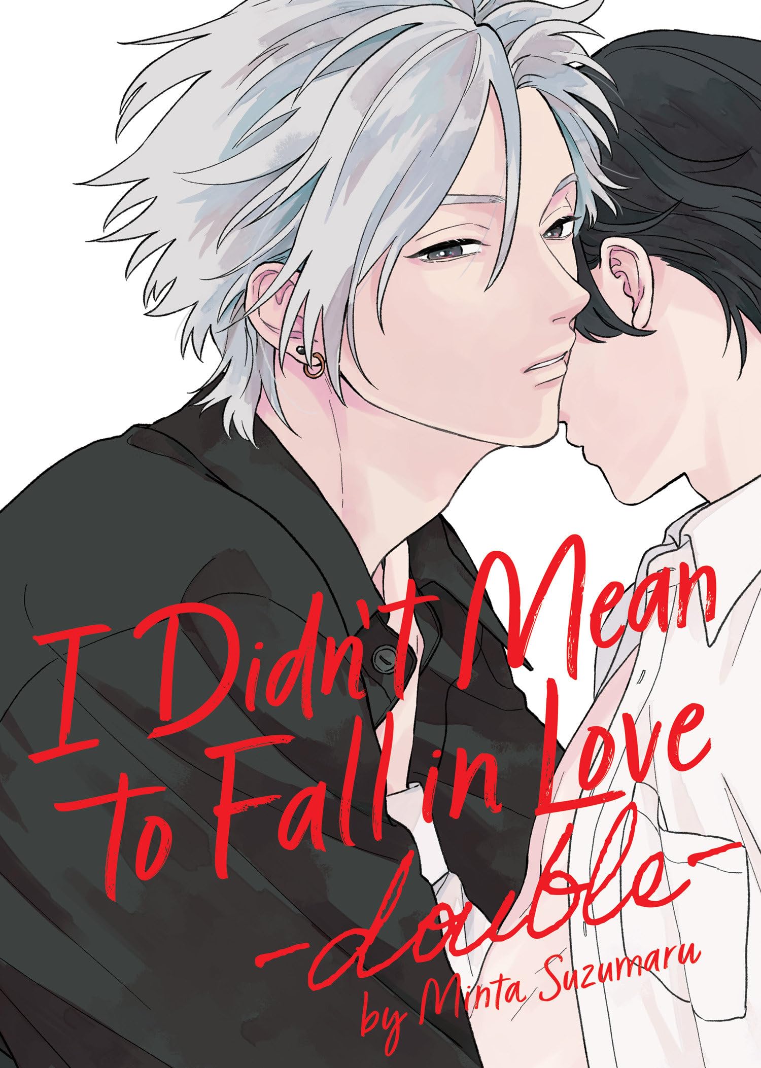 jaquette livre I Didn't Mean to Fall in Love -double-