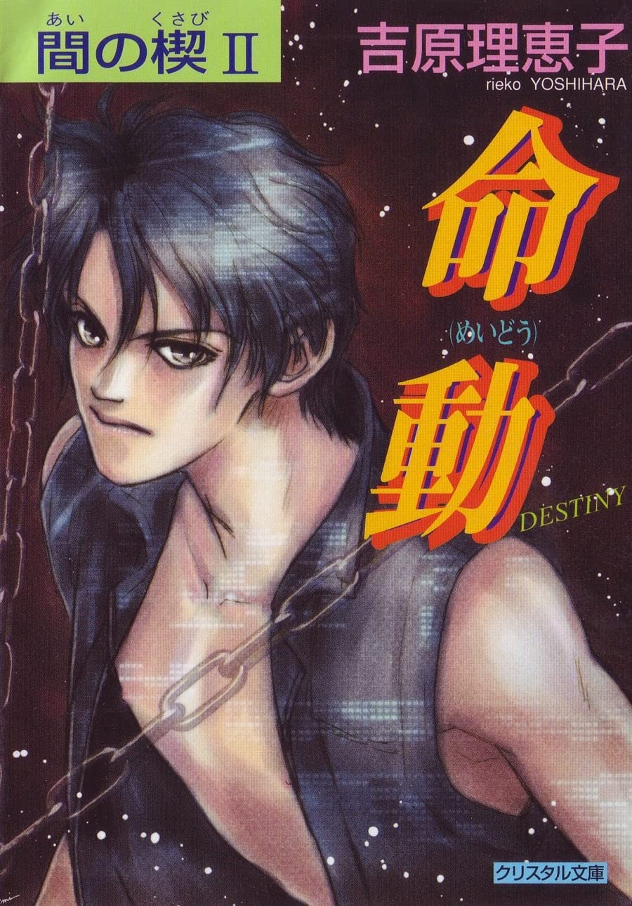 jaquette album Ai No Kusabi The Space Between Volume 2: Destiny (Yaoi Novel)