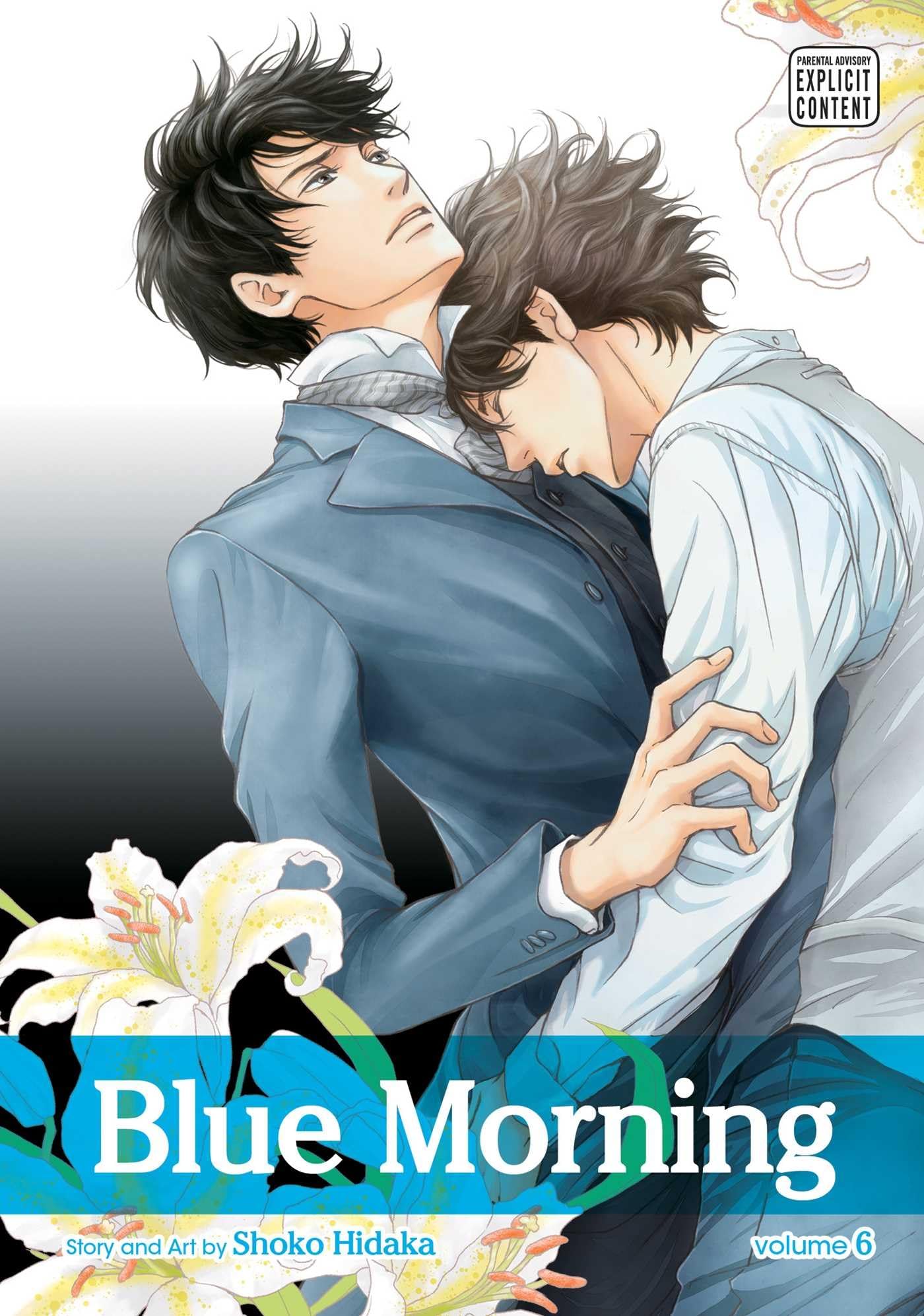 jaquette album Blue Morning Volume 6