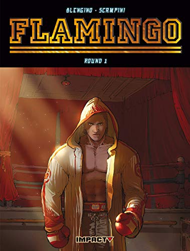 jaquette album Flamingo Tome 1 - Tant Qu'il Continue À Se Relever
