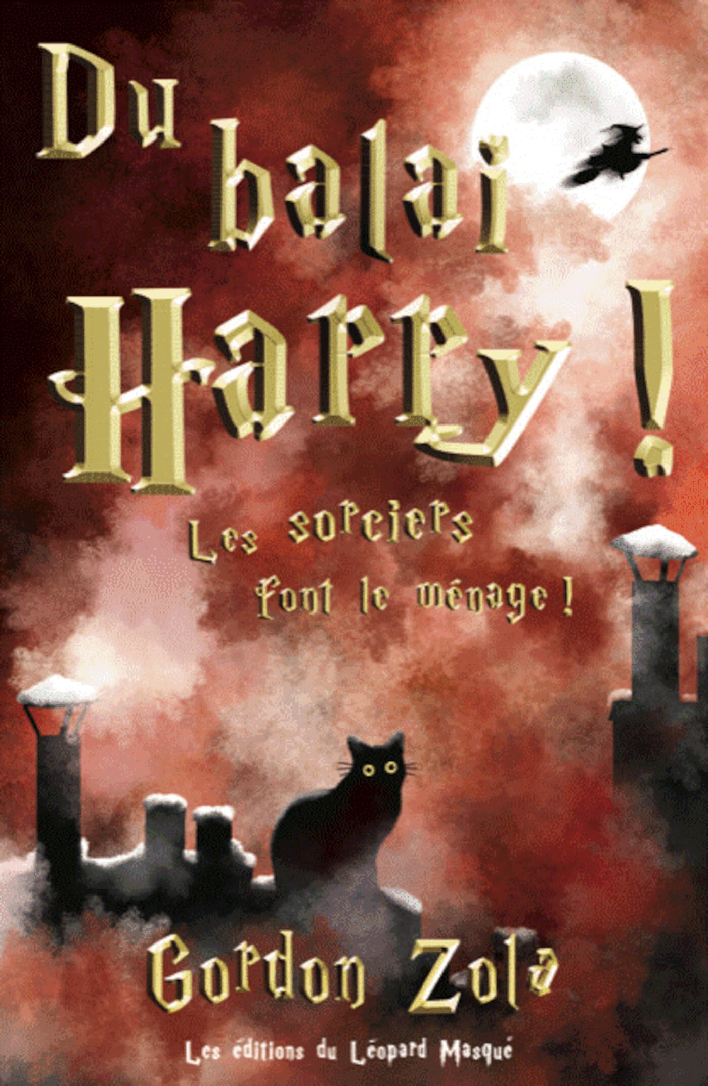 jaquette album Du balai, Harry !: Les sorciers font le ménage !