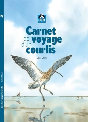 jaquette album Carnet de voyage d'un Courlis