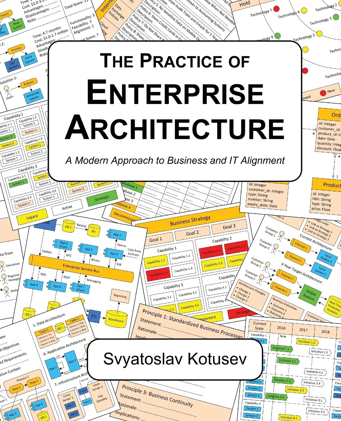 jaquette album The Practice of Enterprise Architecture: A Modern Approach to Business and IT Alignment