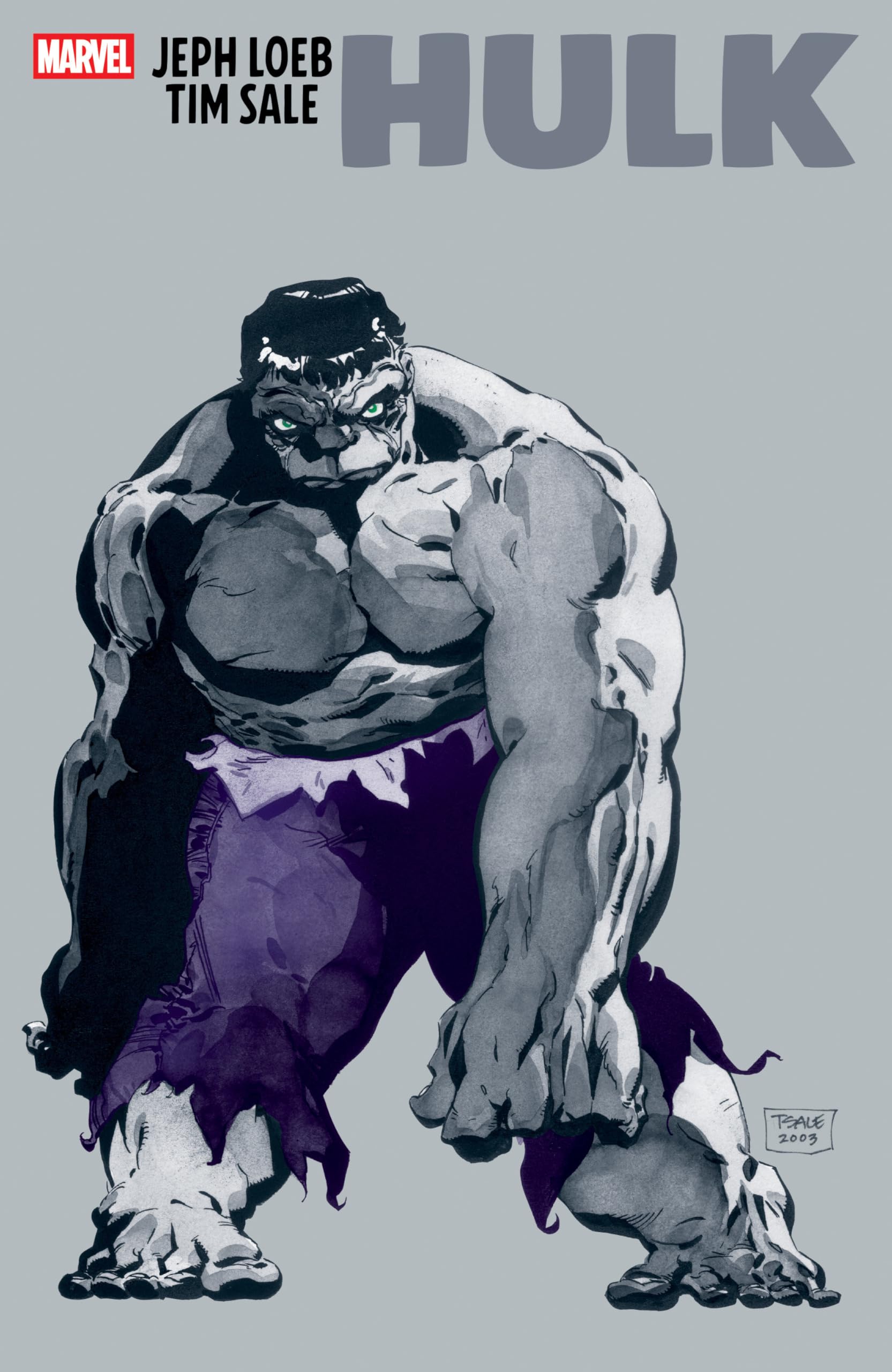 jaquette album Jeph Loeb & Tim Sale: Hulk