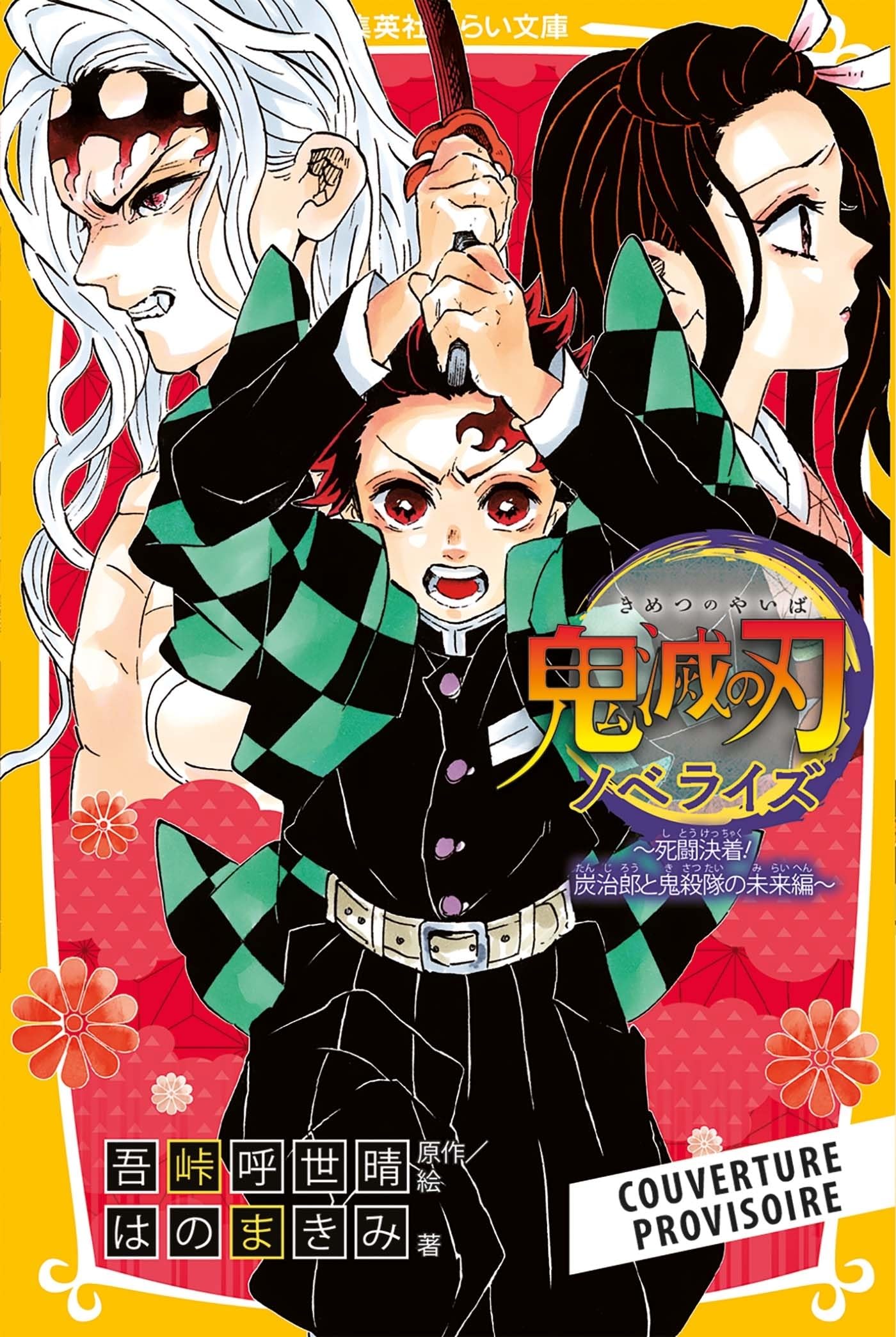 Demon Slayer - Roman jeunesse