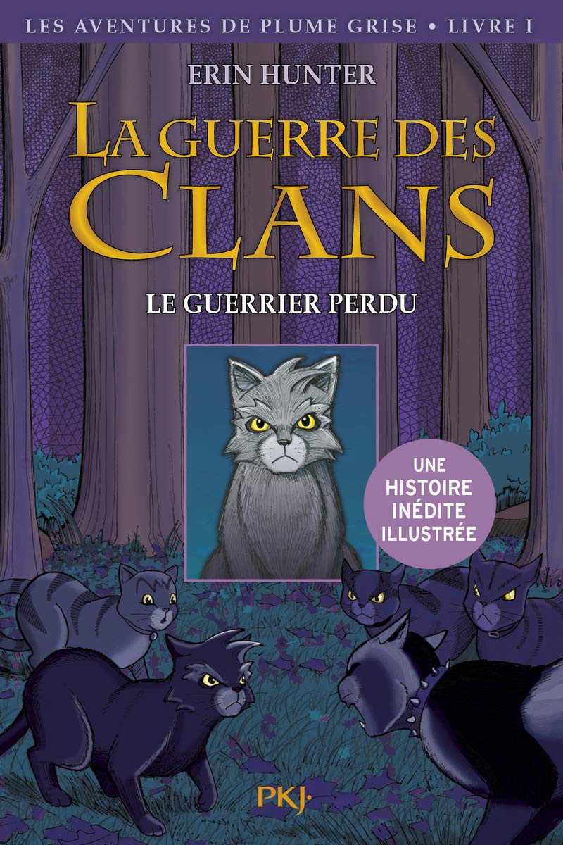 La guerre des Clans illustrée, Cycle I - tome 01 : Le guerrier perdu (1)