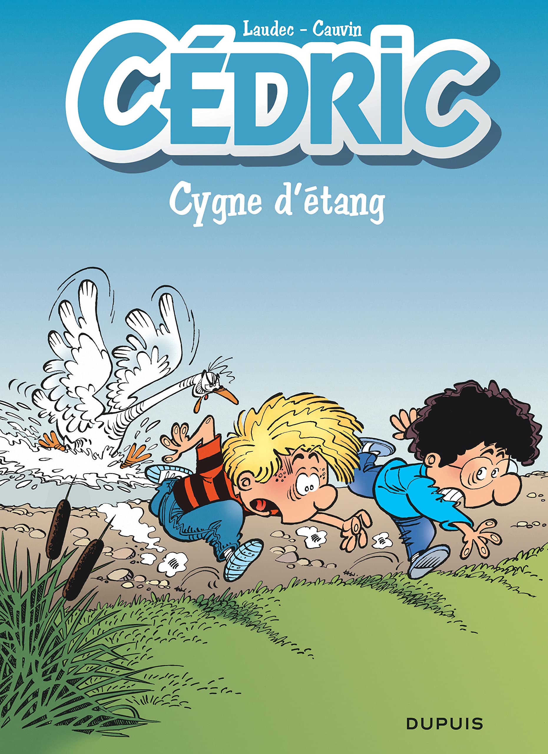 Cygne d'étang (Opé été 2020)