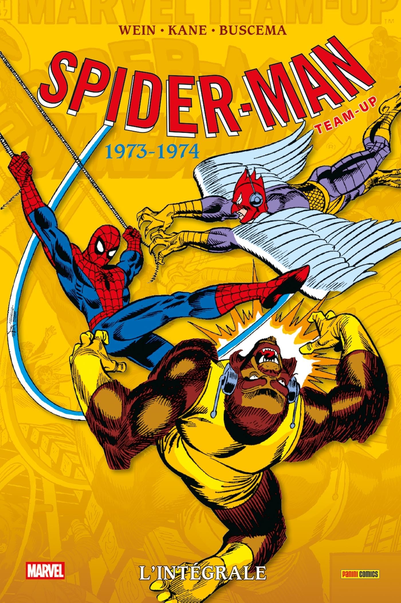 Série Spider-Man Team-Up : L'intégrale