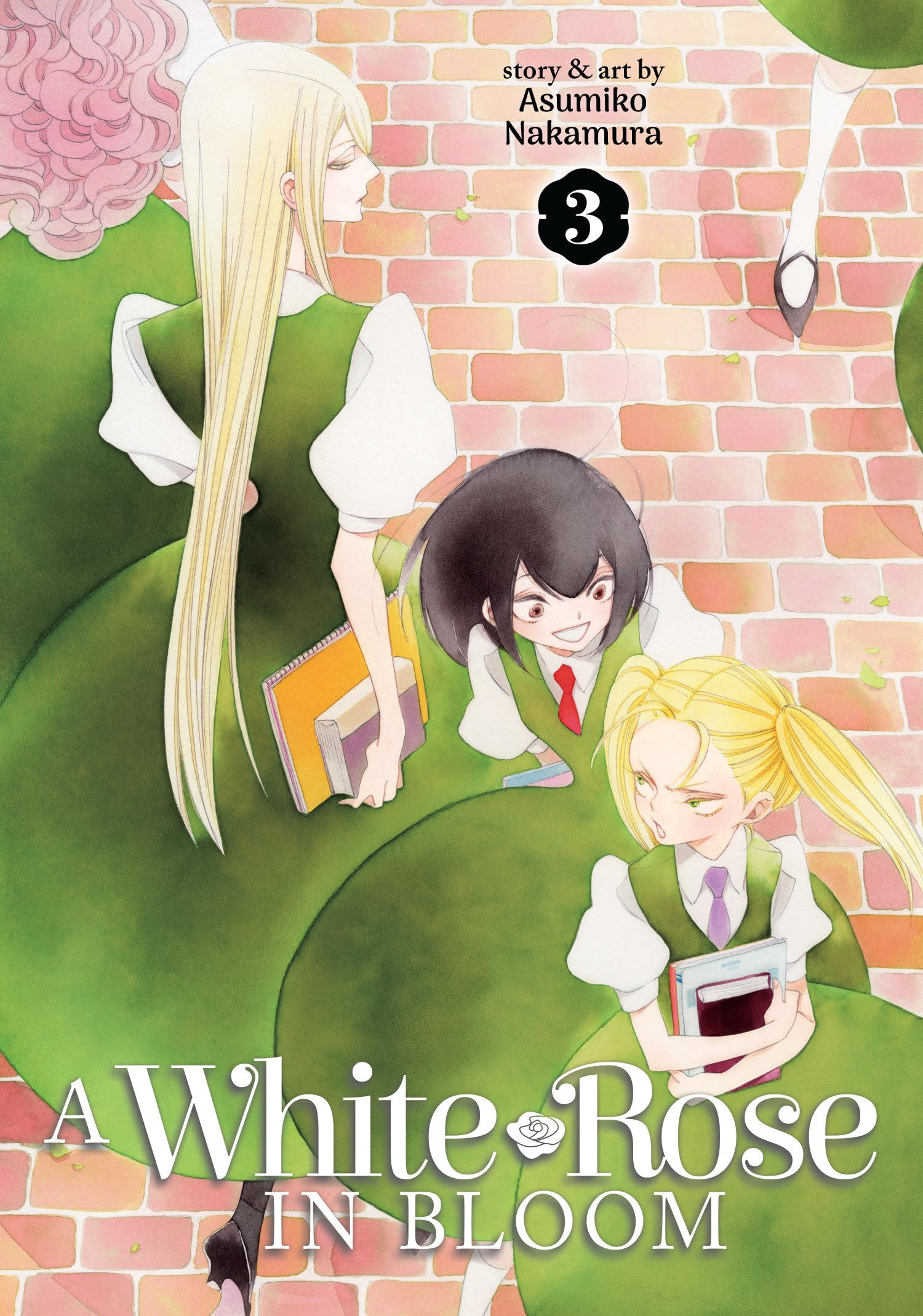 A White Rose in Bloom