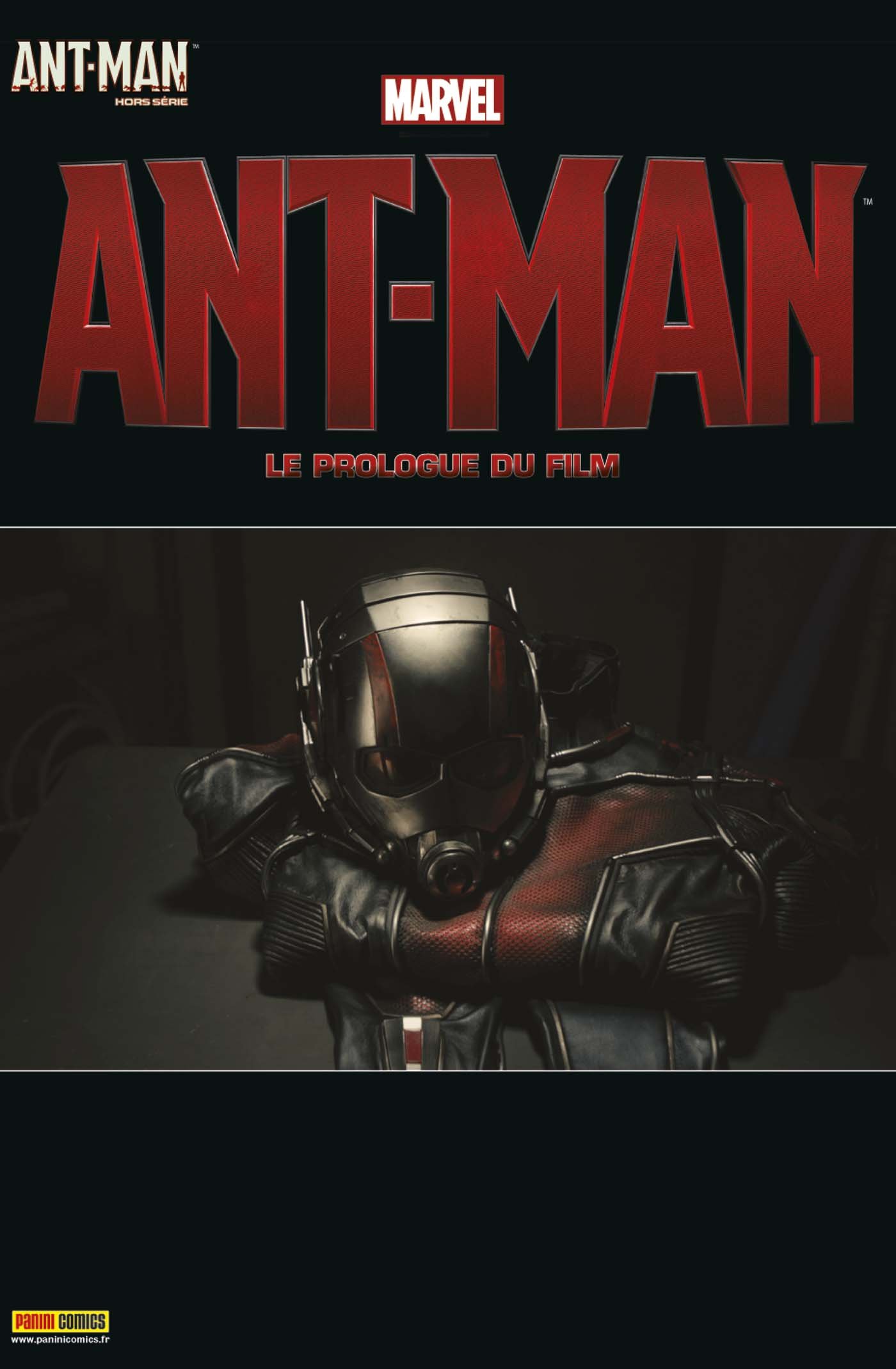 Ant-Man hs 1 : prologue du film