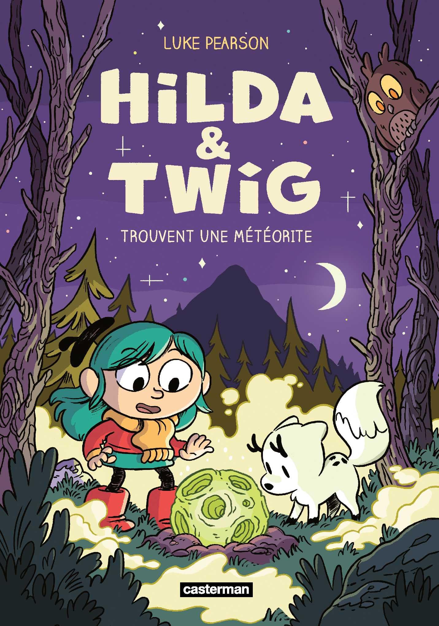Hilda et Twig trouvent une météorite