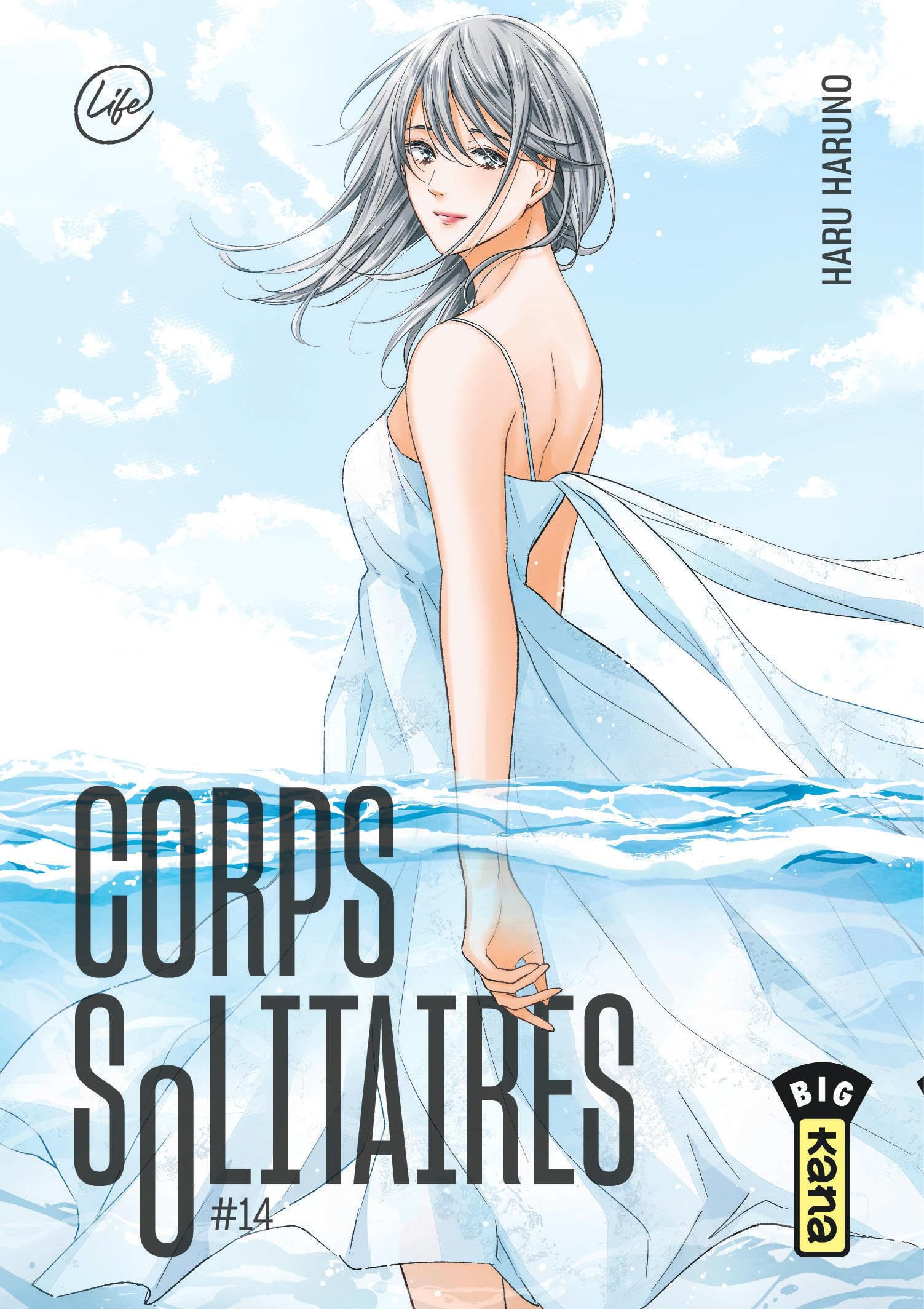Corps solitaires