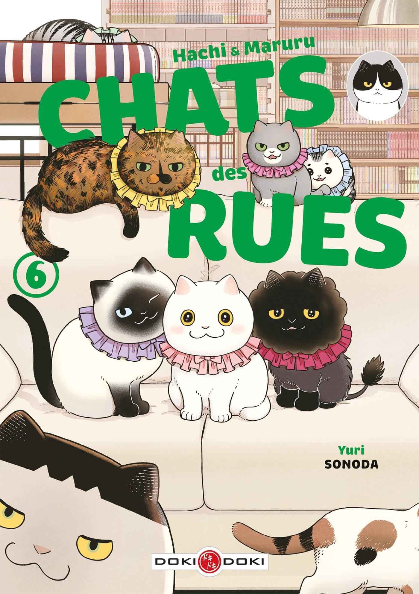Hachi & Maruru - Chats des rues