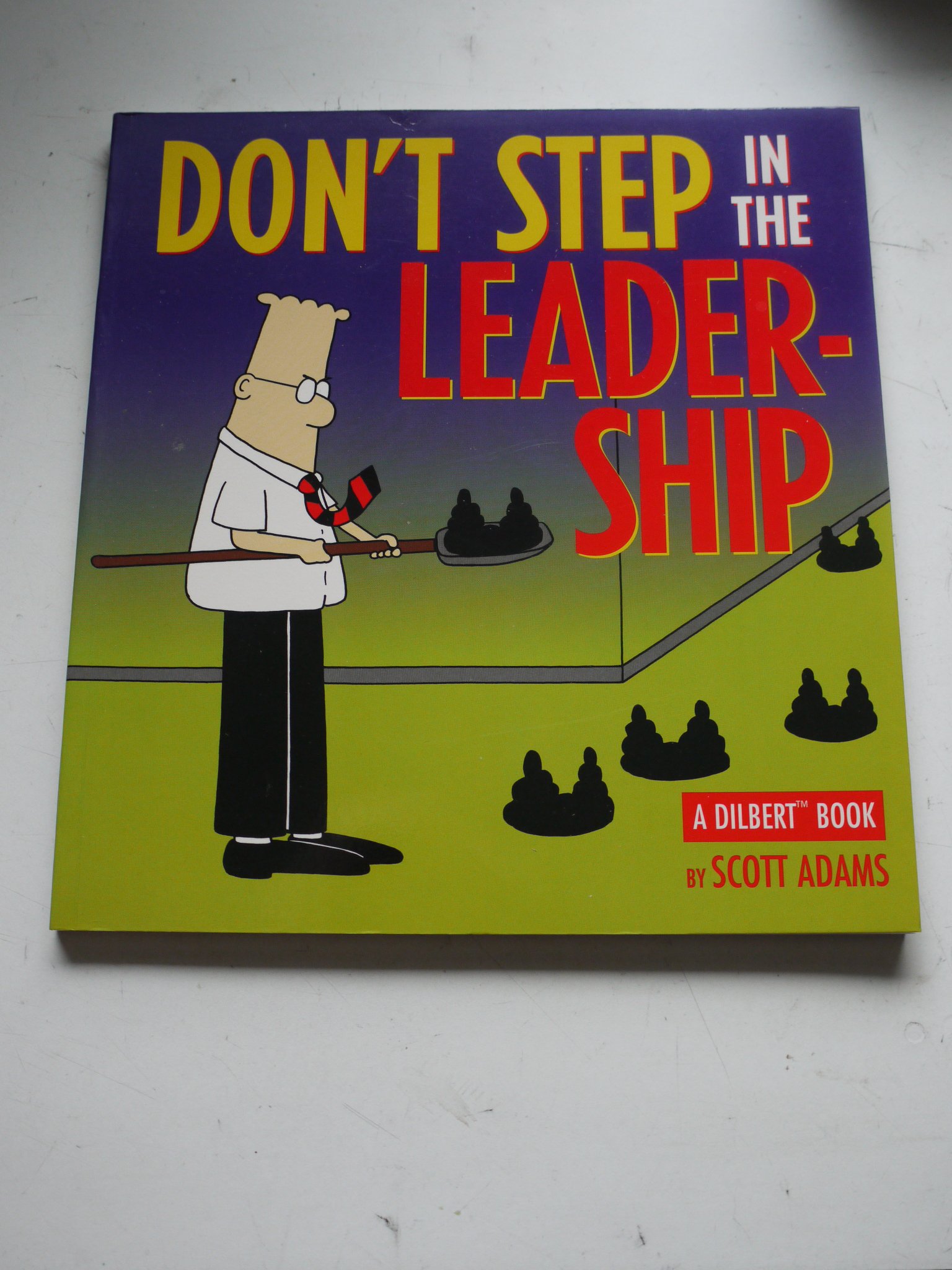 Don't Step in Leadership