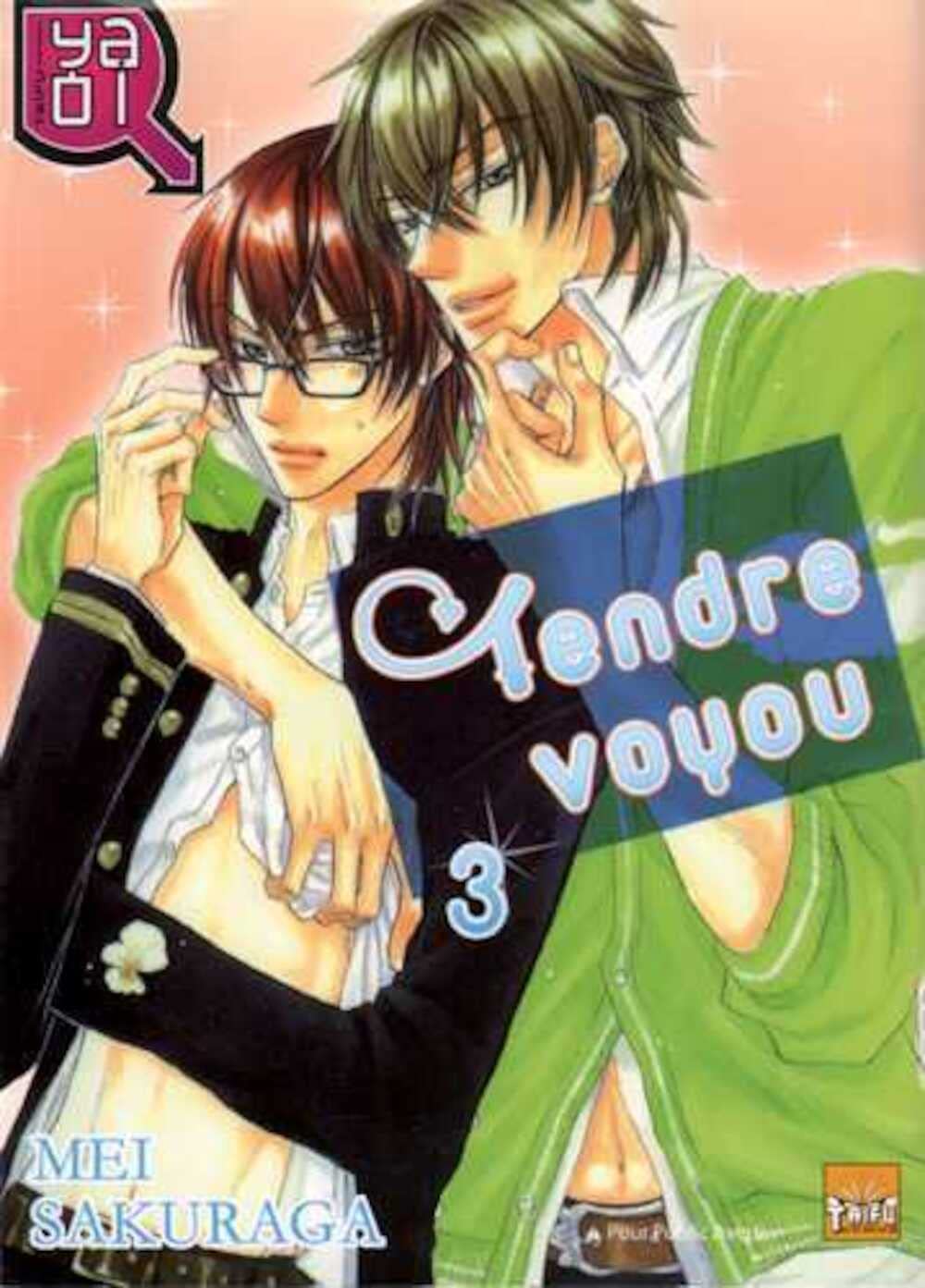 Tendre voyou