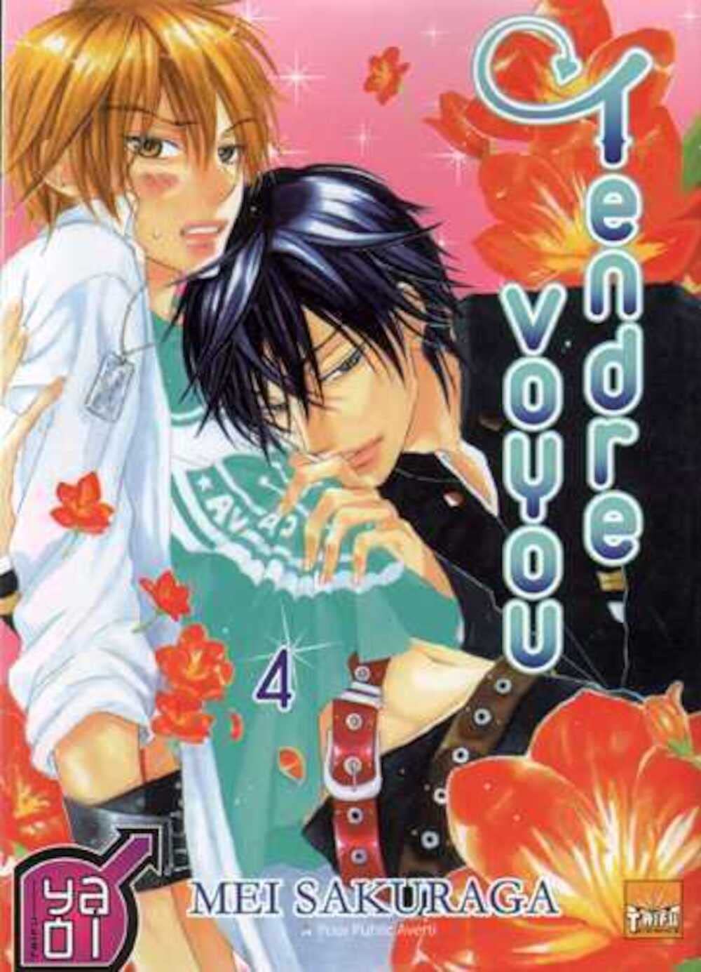 Tendre voyou