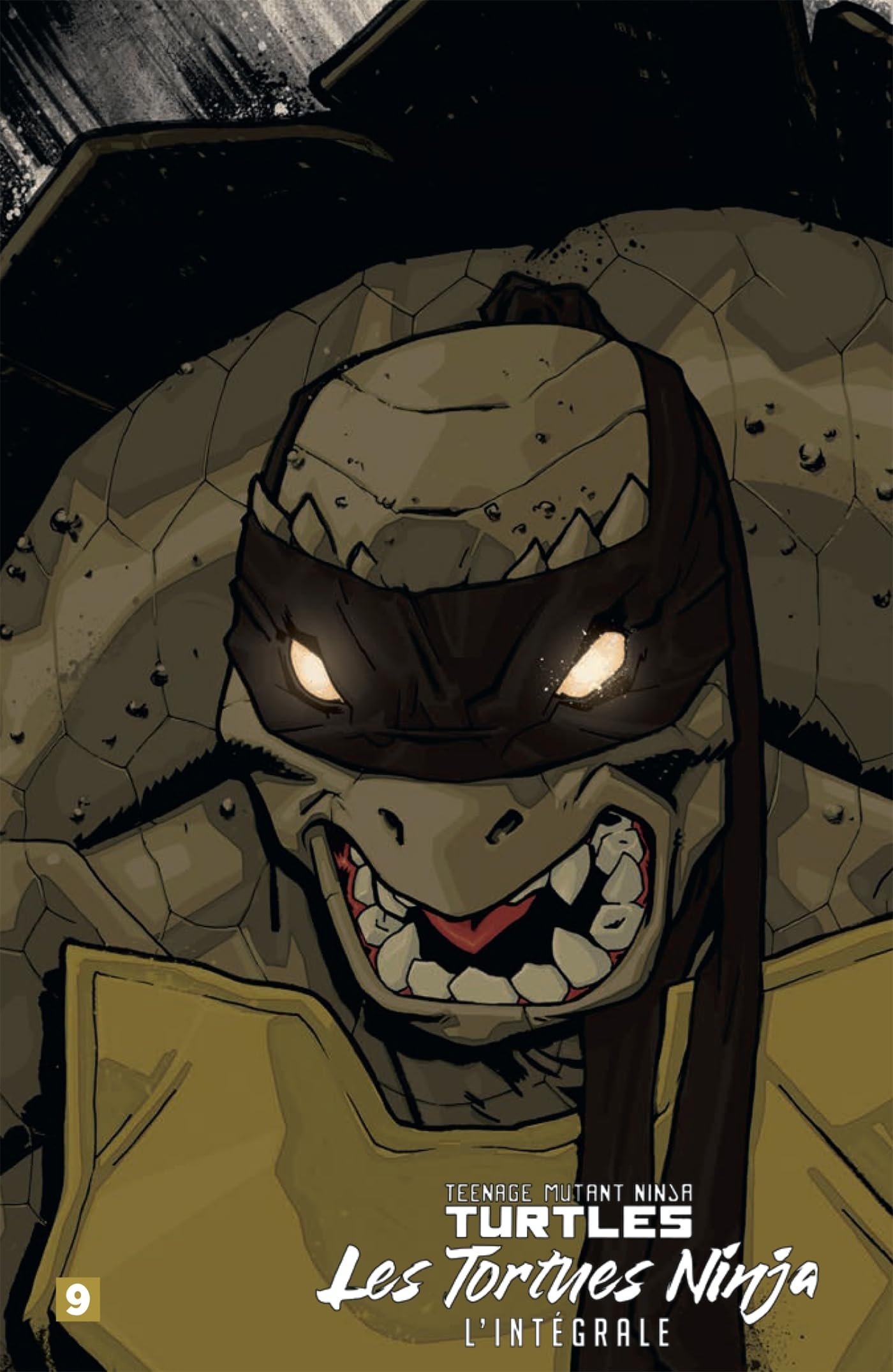 Les Tortues Ninja - TMNT : L'Intégrale