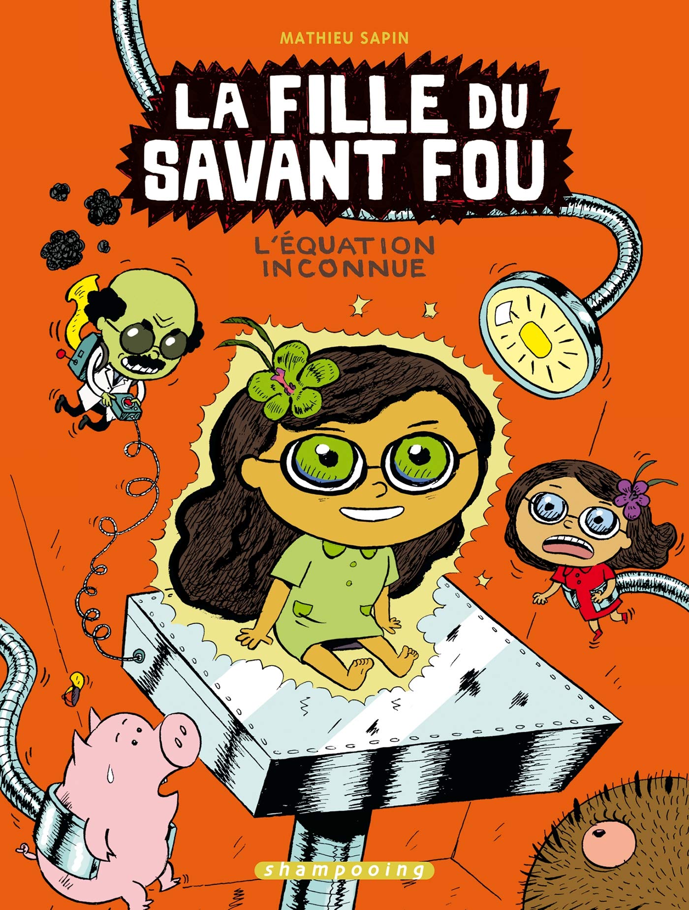 L'Équation inconnue