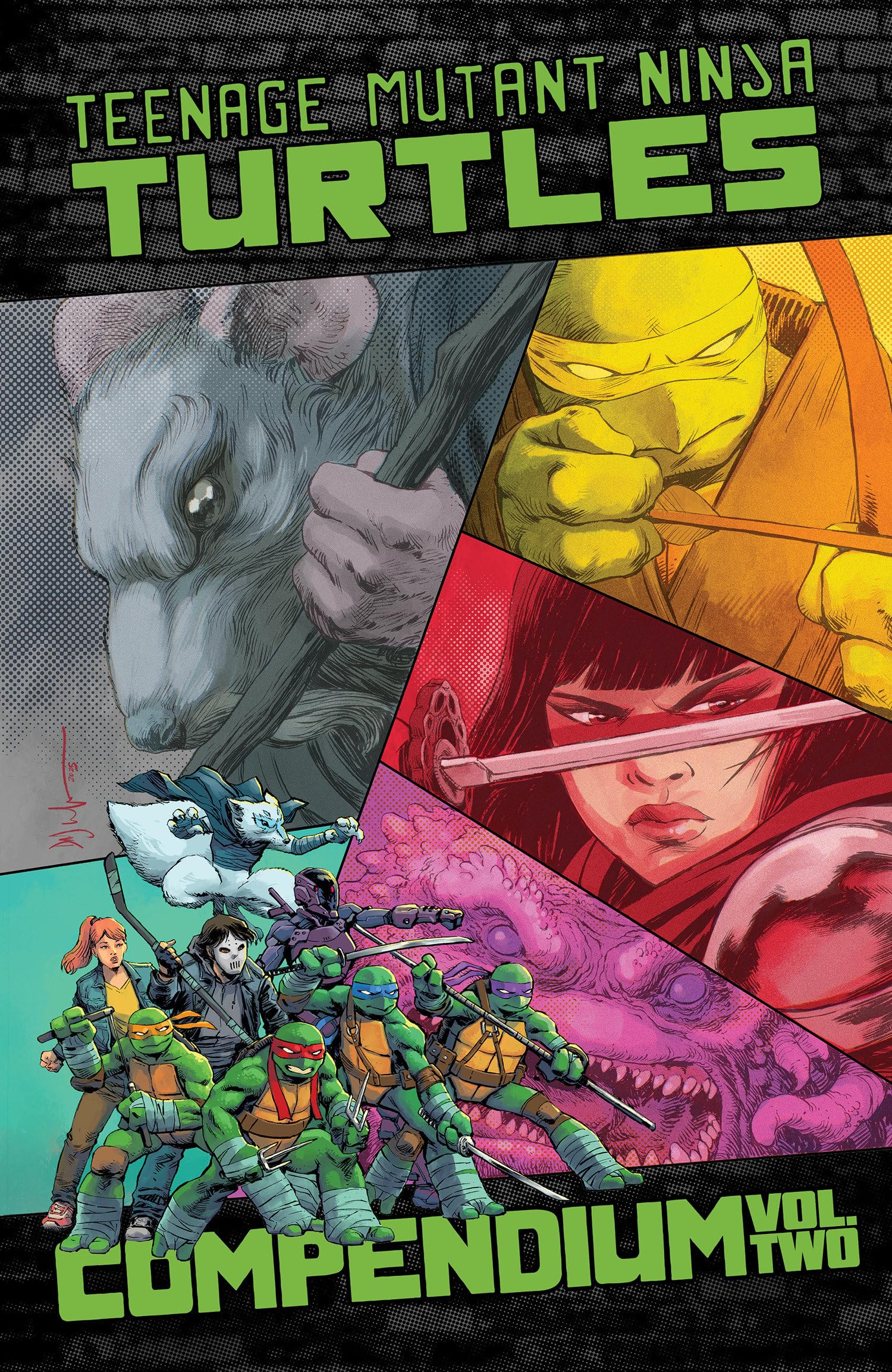 Teenage Mutant Ninja Turtles: Ongoing Compendium