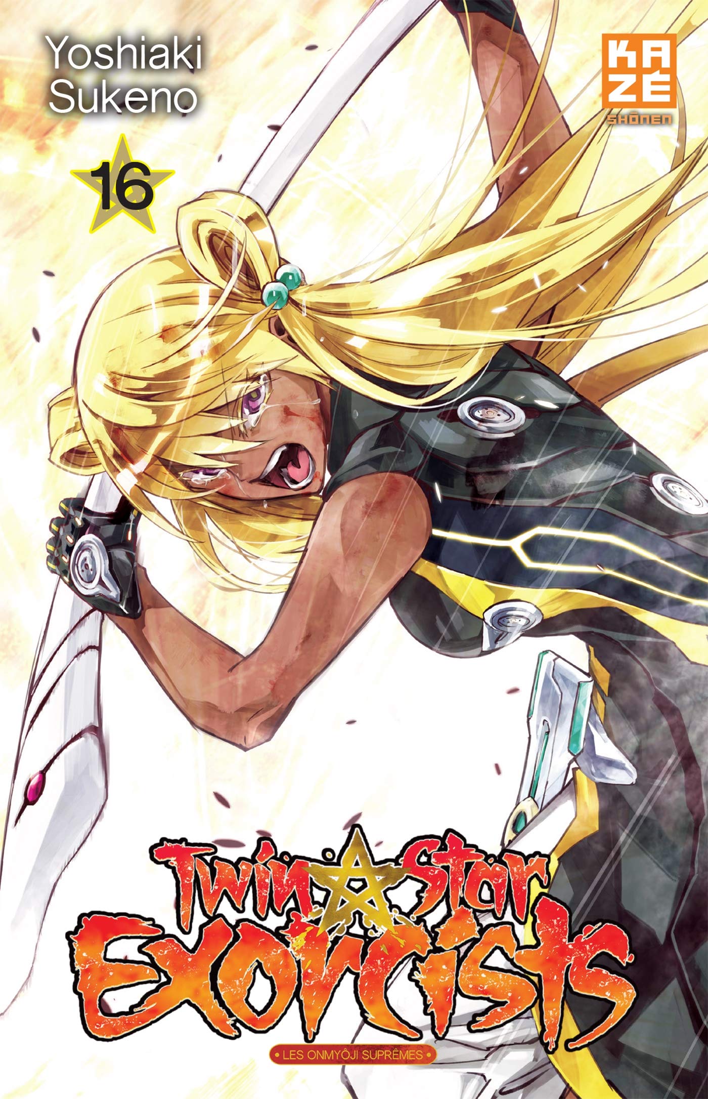 Twin Star Exorcists