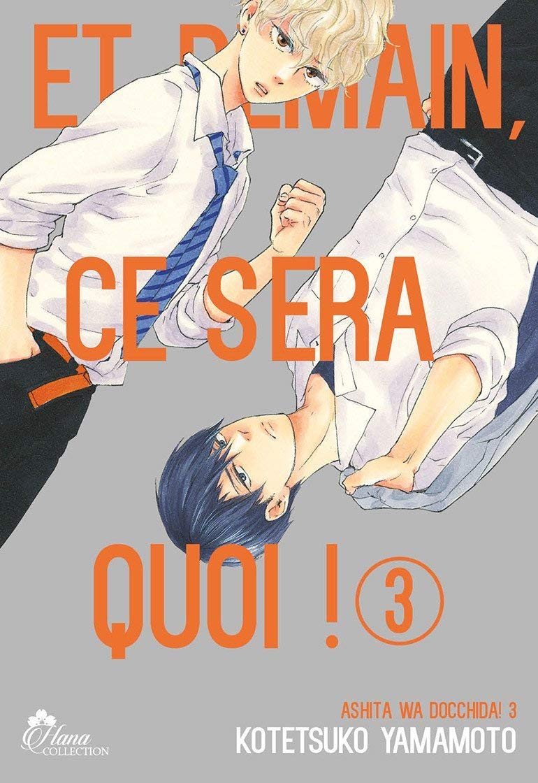 Livre (Manga) - Yaoi - Hana Collection