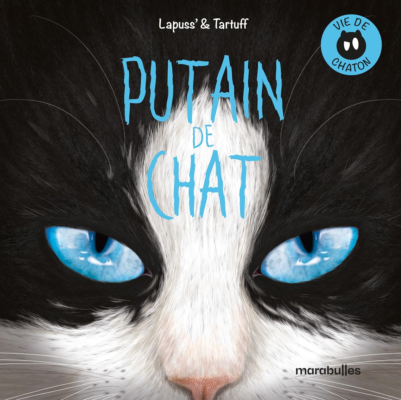 Univers Putain de chat