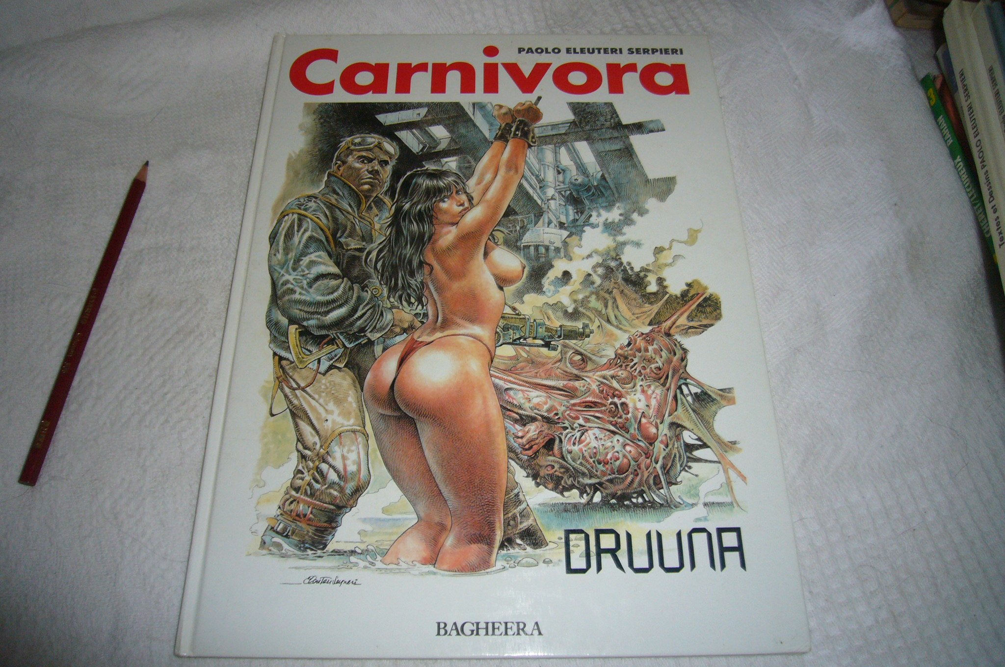 Carnivora