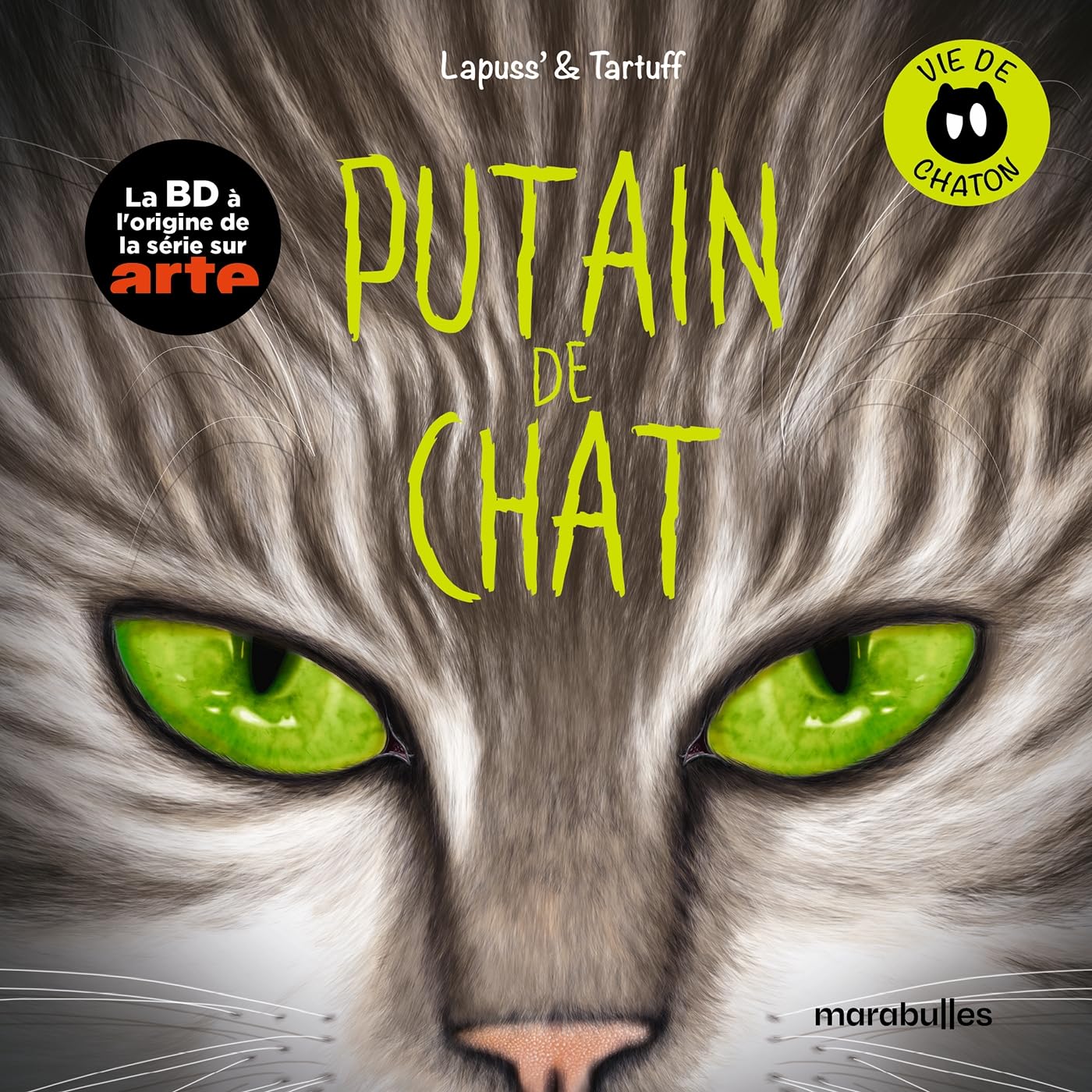 Putain de chat - Vie de chaton
