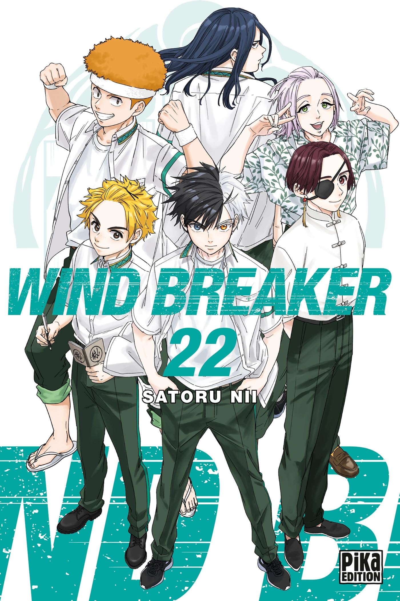 Wind Breaker