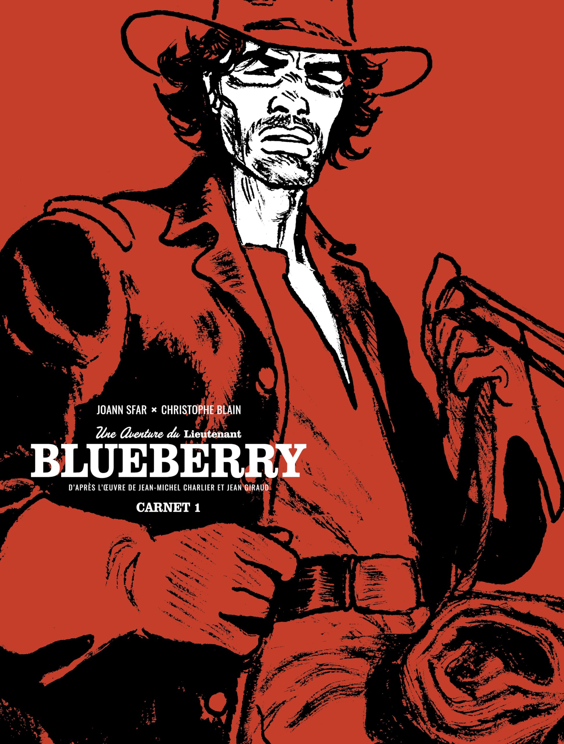 Les carnets de Blueberry