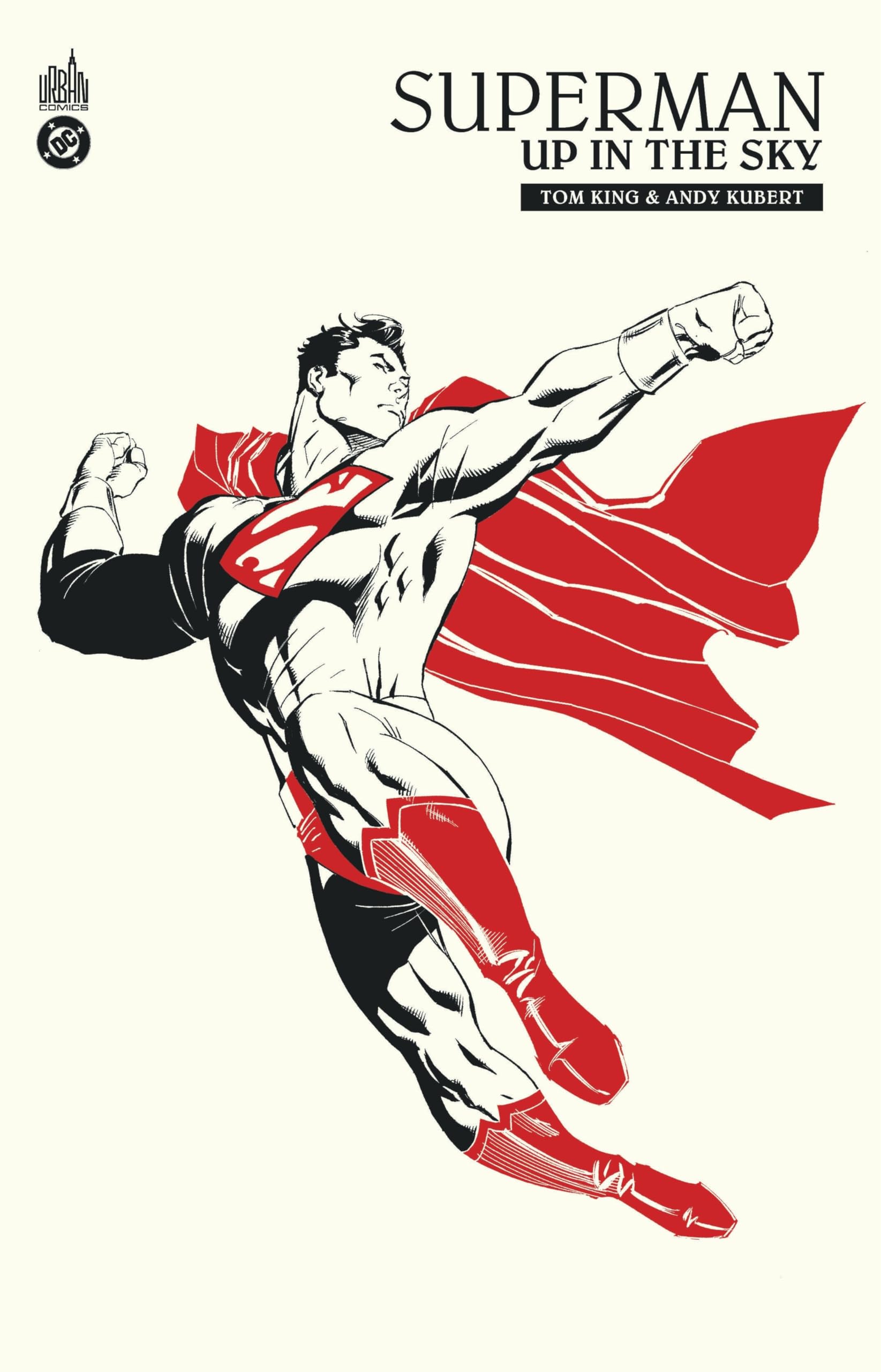 Superman : Up In The Sky