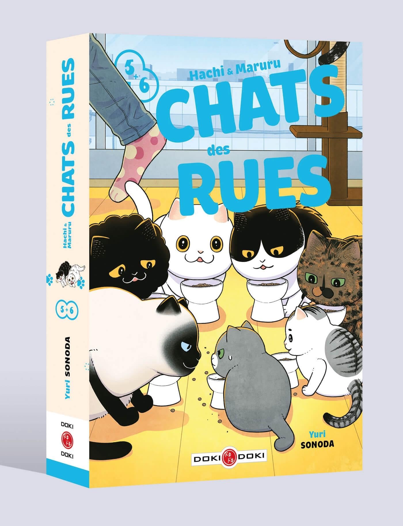 Hachi & Maruru - Chats des rues