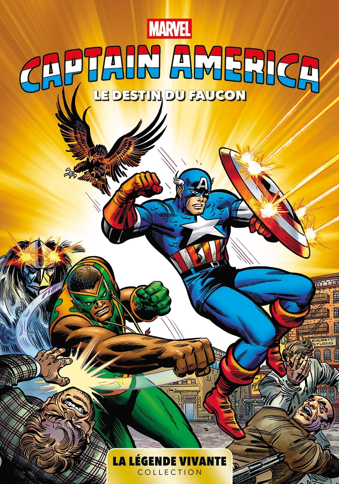 Le destin du Faucon