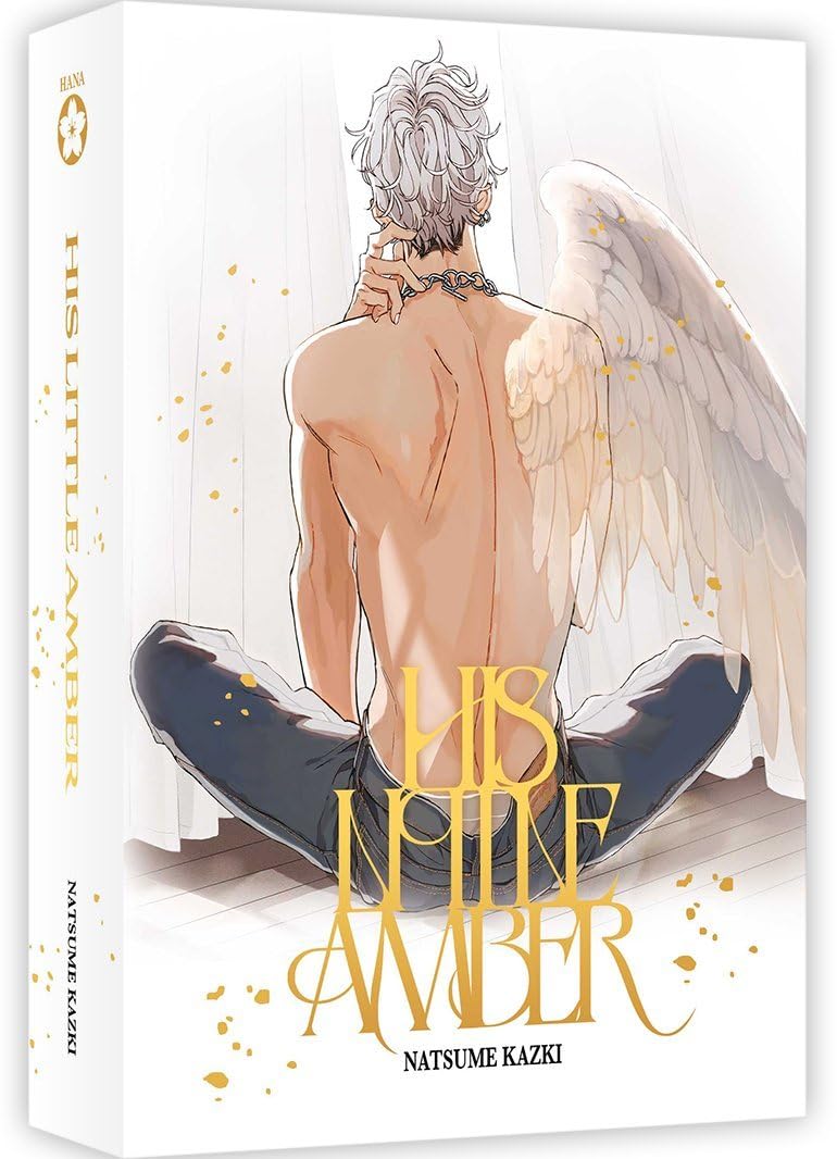 Box collector (Tomes 1 et 2)