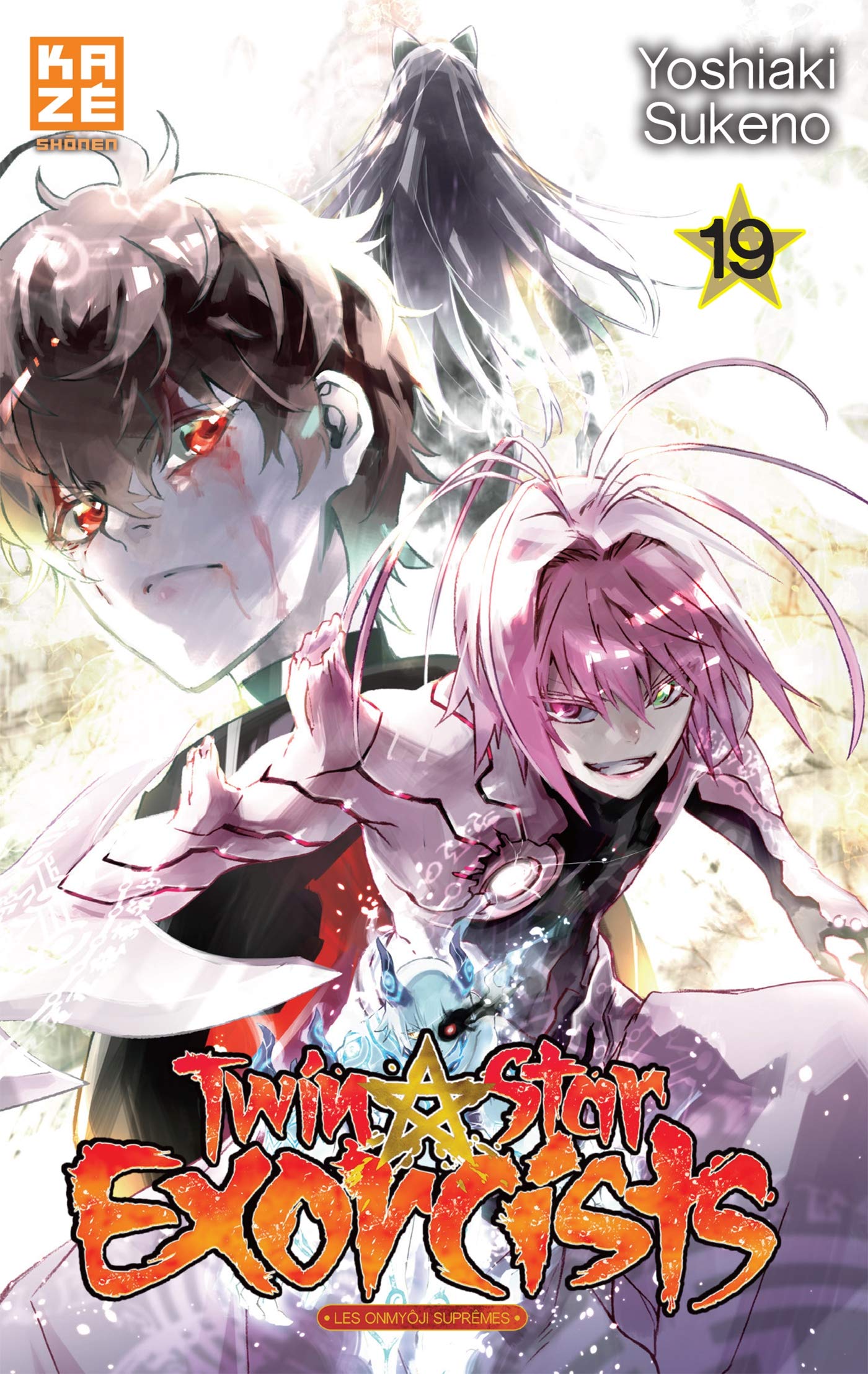 Twin Star Exorcists