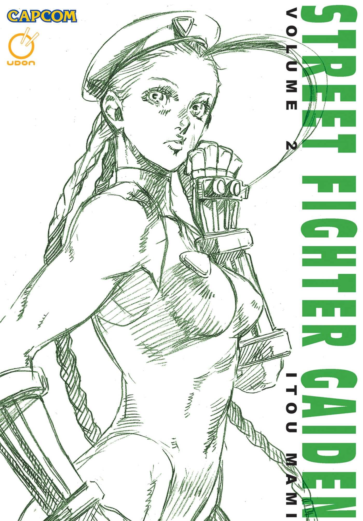 Street Fighter Gaiden Volume 2.