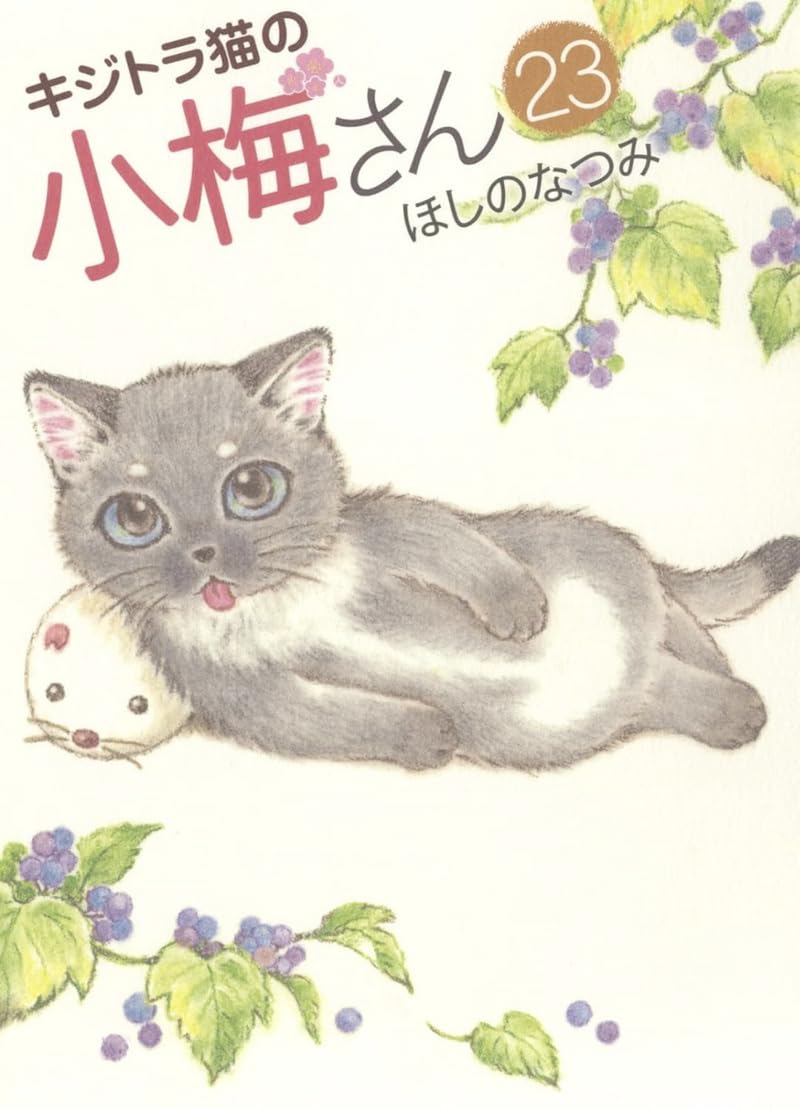 Plum, un amour de chat