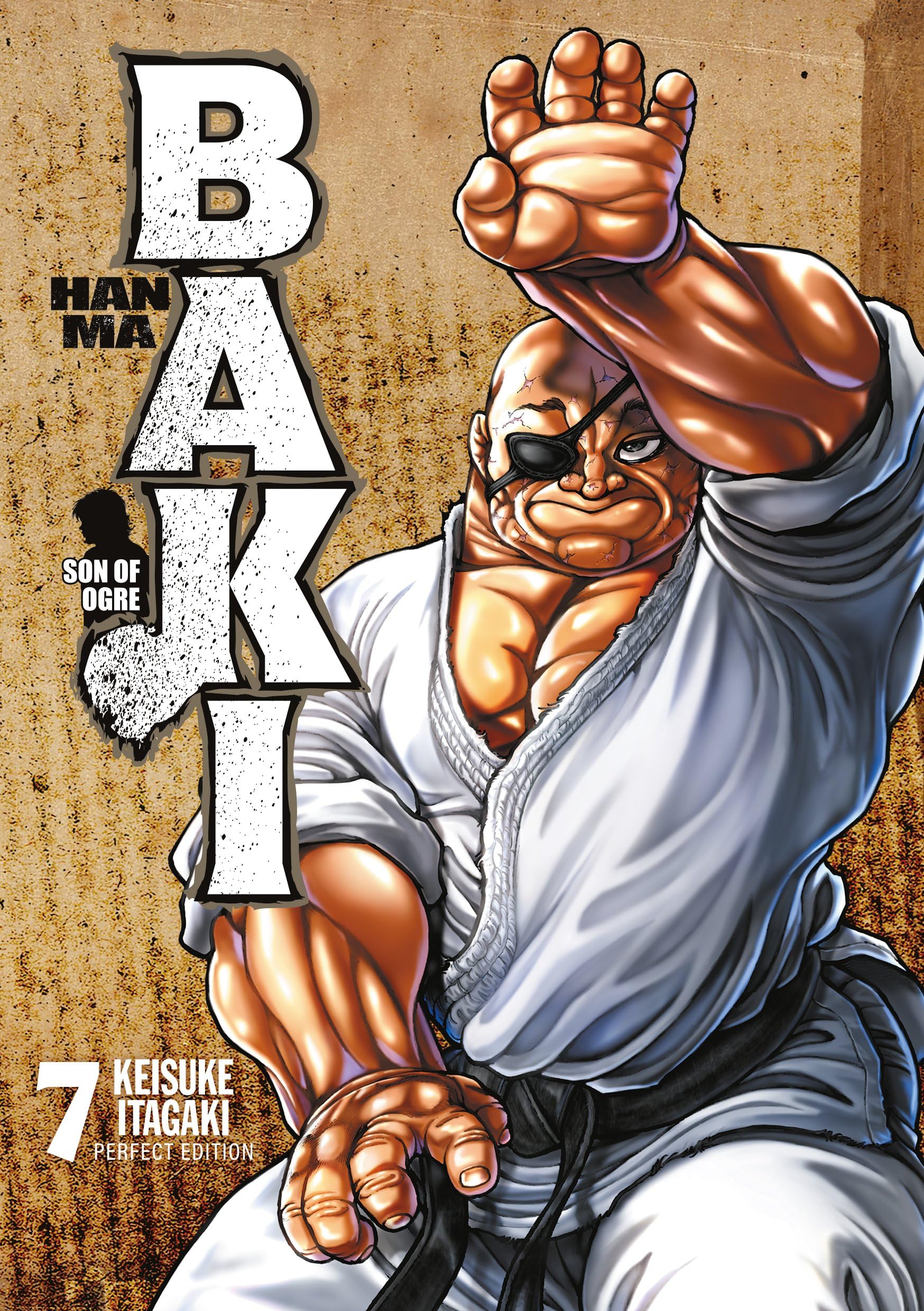 Hanma Baki Perfect Edition