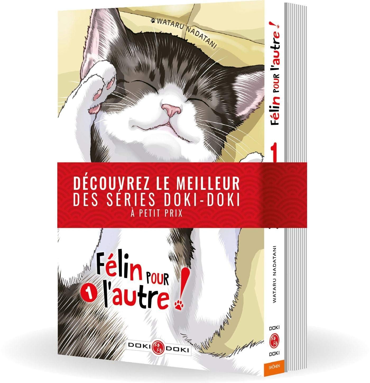 Univers Félin Pour L'autre !