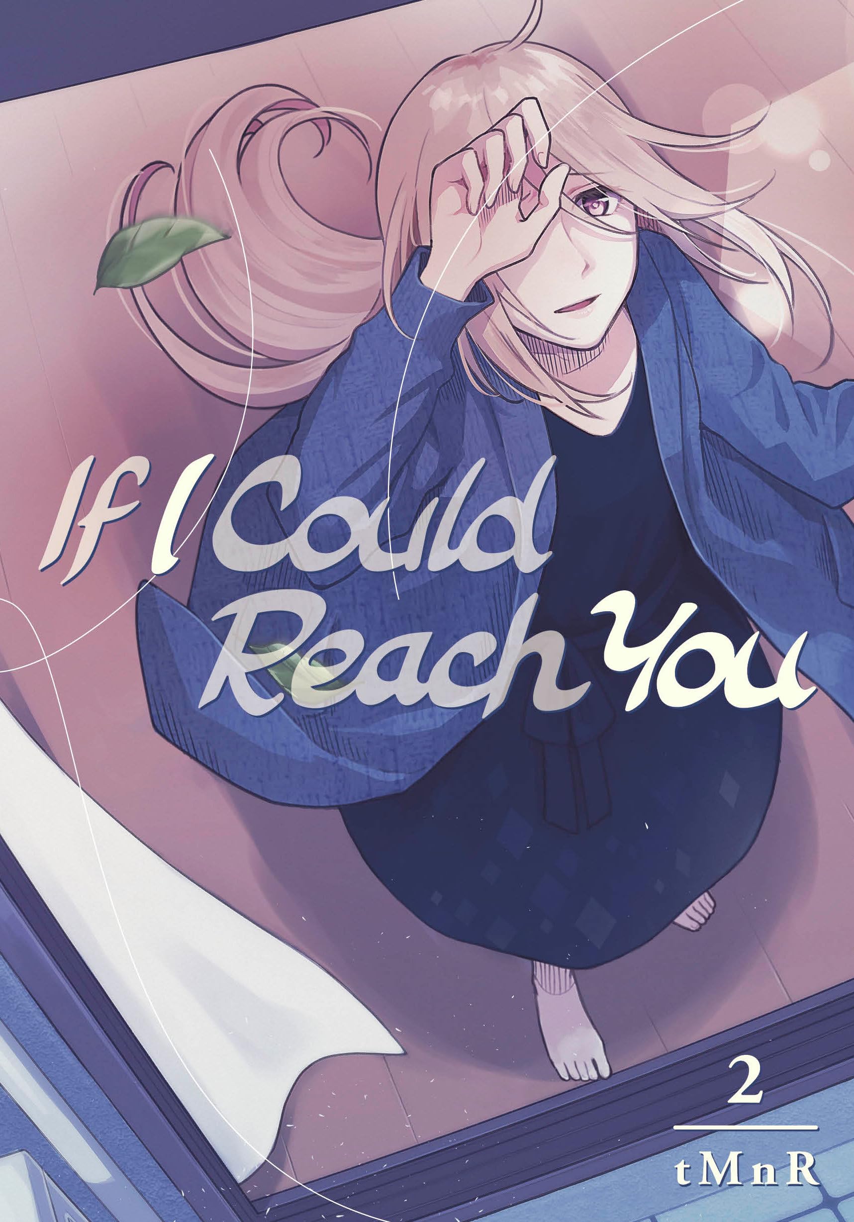 If I Could Reach You