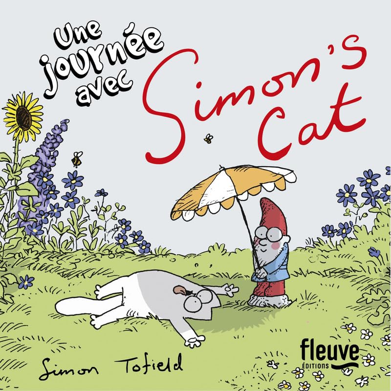 Coffret Simon's Cat