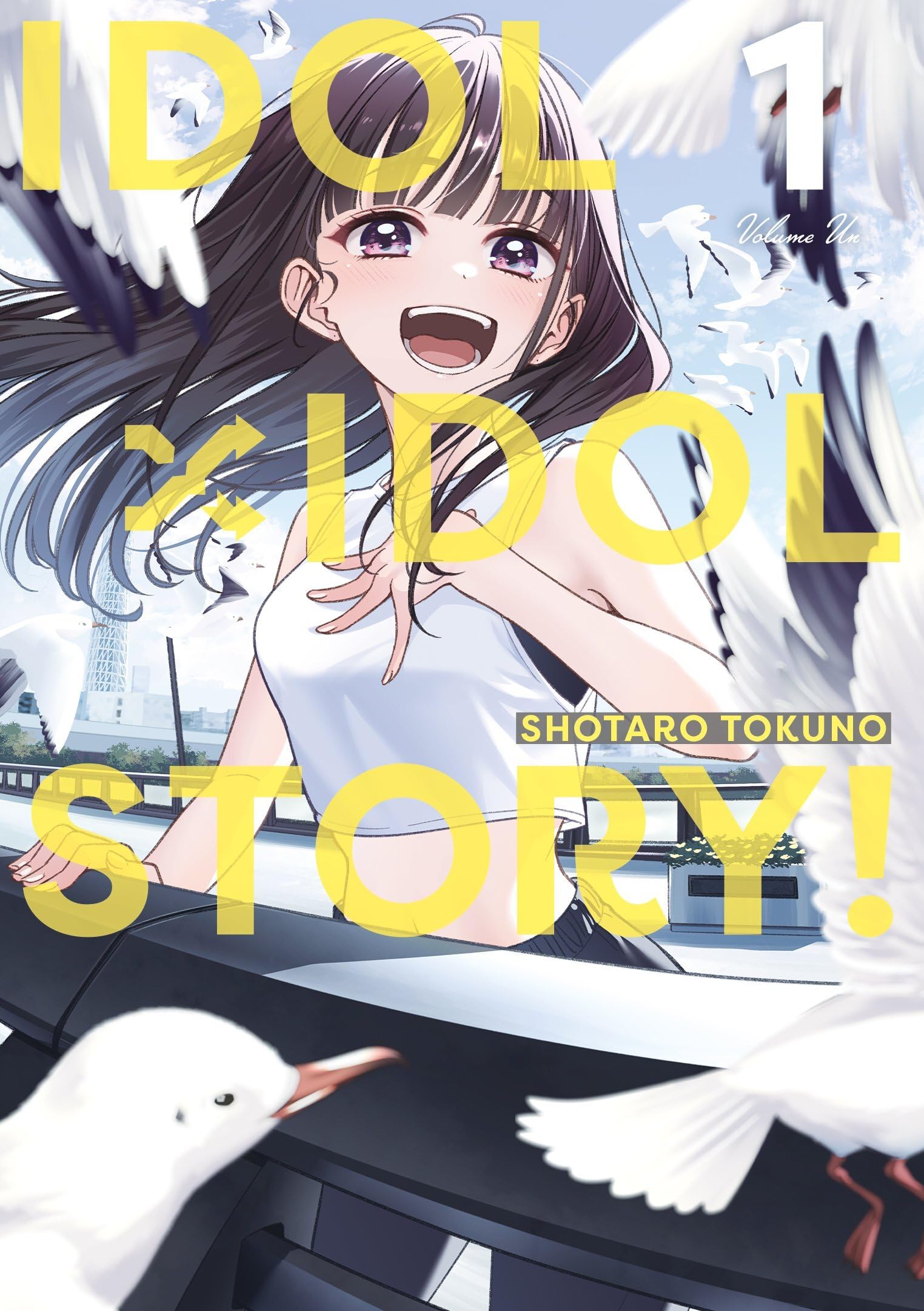 IDOL×IDOL STORY!